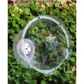 Transparente Pflanzenhaube 5er Set aus Dickem PET Material, für Mini Gewächshaus für Töpfe mit Drehbaren Luftschlitzen, Verstellbare Anzuchthaube zum Schutz von Keimlingen und Stecklingen - Thumbnail 8