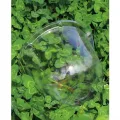 Transparente Pflanzenhaube 5er Set aus Dickem PET Material, für Mini Gewächshaus für Töpfe mit Drehbaren Luftschlitzen, Verstellbare Anzuchthaube zum Schutz von Keimlingen und Stecklingen - Thumbnail 9